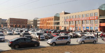 上海金山國(guó)際貿(mào)易城ⅱ期盛大試營(yíng)業(yè)