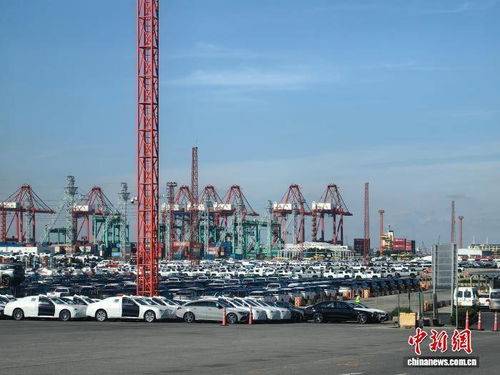 前三季度經(jīng)濟數(shù)據(jù)展現(xiàn)上海經(jīng)濟韌性 上海貿(mào)易穩(wěn)中提質(zhì)彰顯開放活力